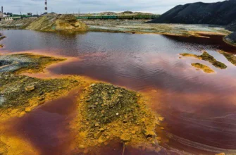 Вплив кислотних дощів: наслідки для довкілля та суспільства