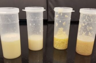 Чи можна пити молоко, якщо у корови мастит: що каже наука?