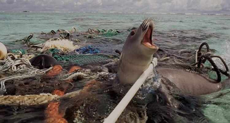 Наслідки забруднення світового океану: загроза для планети та людства