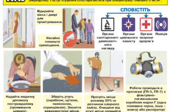 Чи можна померти від ртуті: ризики і небезпеки отруєння металом