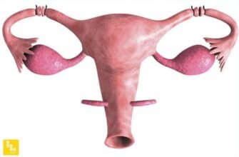 Перев’язка маткових труб: наслідки та важливі аспекти процедури