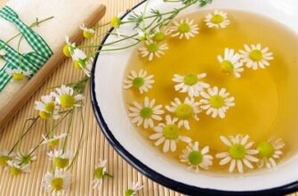 Чи можна підмиватися ромашкою: переваги та застереження використання