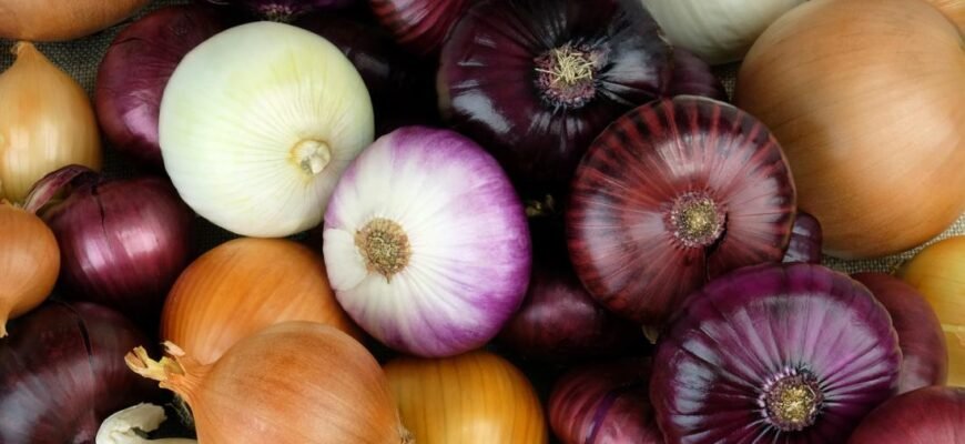 Чи можна їсти цибулю при цукровому діабеті: корисні властивості та поради