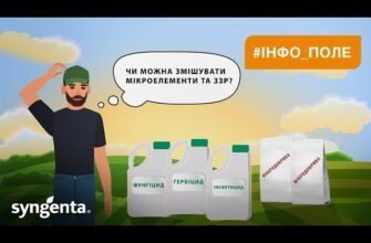 Чи можна змішувати: поради та правила для безпечного змішування продуктів