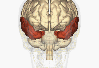 Наслідки перенесеної нейроінфекції МКХ-10: що варто знати?