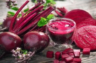 Чи можна їсти сирий буряк: користь, ризики та поради споживання