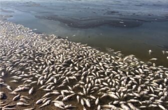 Наслідки забруднення води: вплив на здоров’я та екосистеми