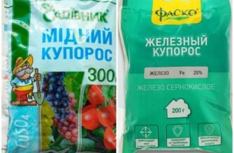 Чи можна змішувати мідний і залізний купорос: поради та рекомендації