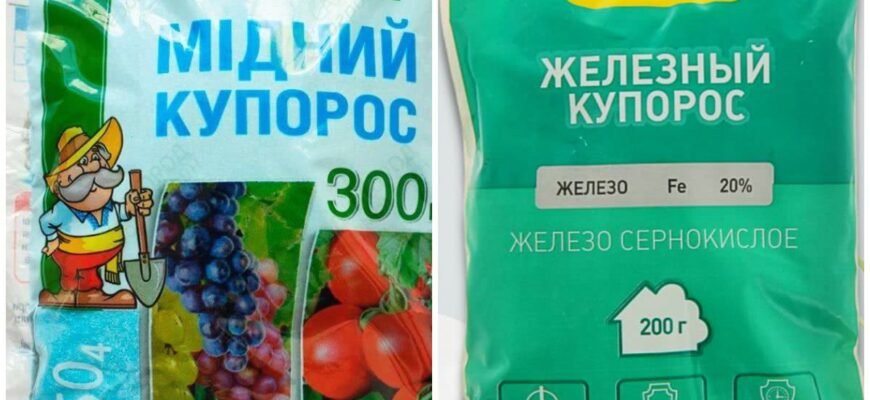 Чи можна змішувати мідний і залізний купорос: поради та рекомендації