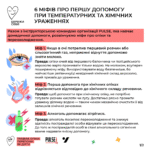 Чай з розмарину: корисні властивості та потенційна шкода для здоров'я