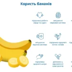 Банани: користь і шкода для організму