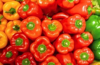 Користь червоного болгарського перцю: ваші запитання та відповіді