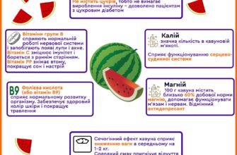 Користь кавуна для жінок: які переваги для вашого здоров’я?