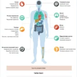 Вживання алкоголю як фактор ризику НІЗ | NIZ