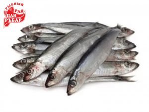 Салака: користь чи шкода? Аналіз властивостей і вплив на здоров’я