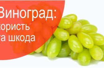 Виноград: Користь і Шкода для Здоров’я – Що Переважає?