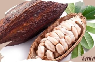 Загальна користь какао з молоком для здоров’я: що варто знати?