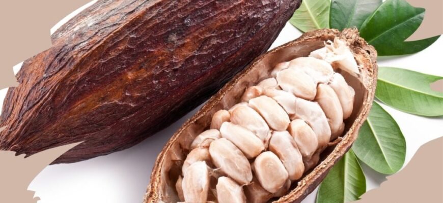 Загальна користь какао з молоком для здоров’я: що варто знати?