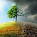 Наслідки глобального потепління | Блоги БДМУ