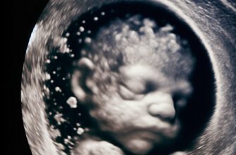 На якому тижні вагітності можна визначити стать майбутньої дитини?