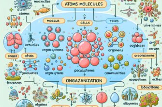 Який рівень організації живої матерії представляє зображений об’єкт?