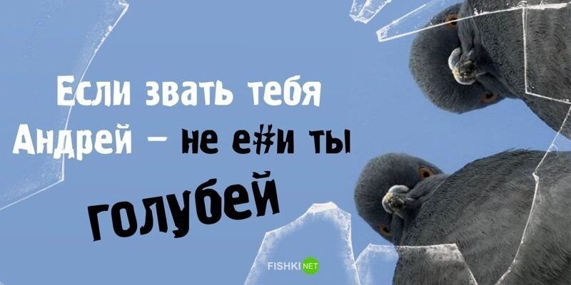 Смішні та дотепні обзивалки для імені Андрій: найкращі варіанти