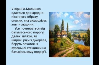 Прослухайте пісню Стежина від Андрія Малишка онлайн прямо зараз