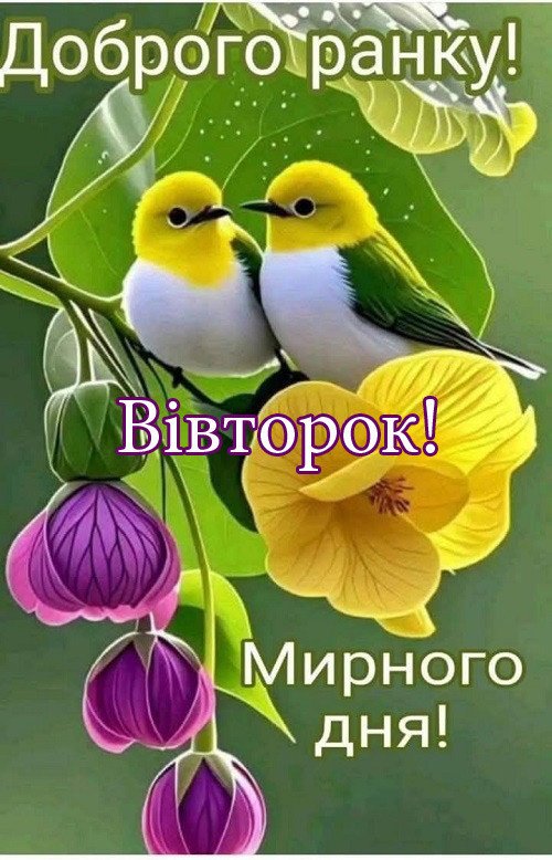 Весняний ранок вівторка