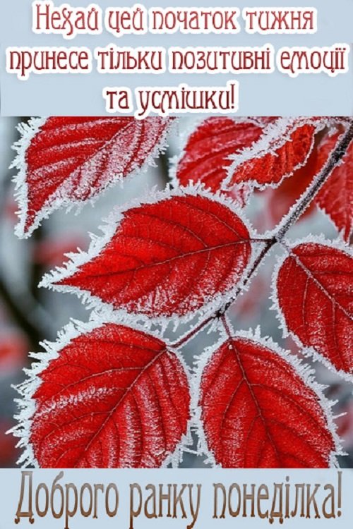Зимовий понеділок 3