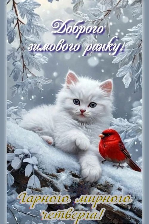 Зимовий ранок четверга 5