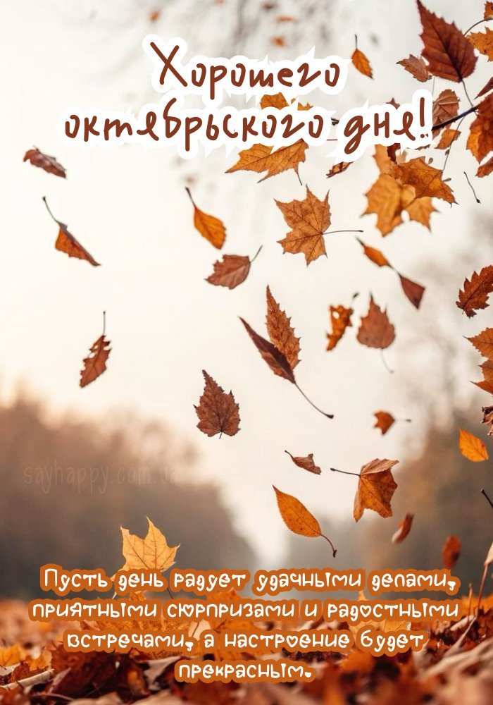 Добрих вражень у цей жовтневий день