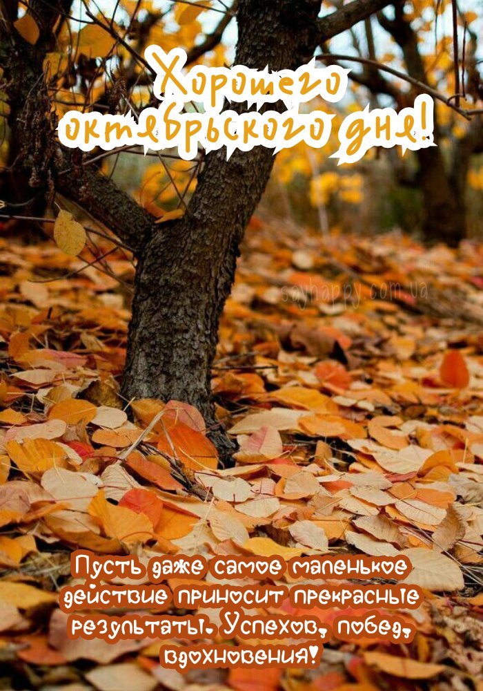 Сонячного жовтневого дня