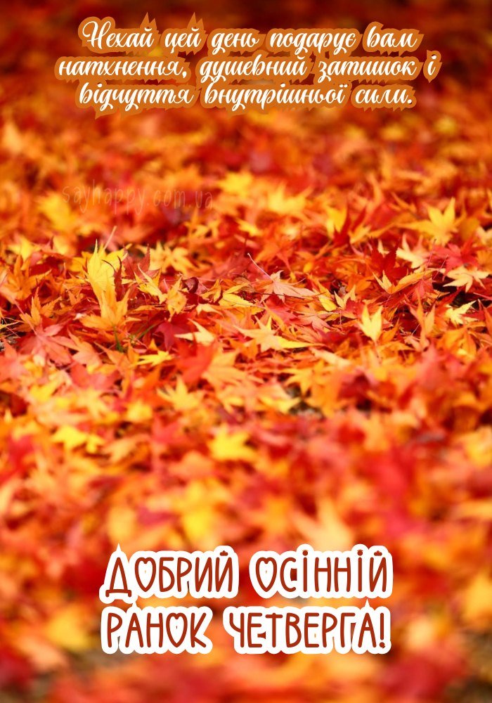 Чарівність миті в осінній ранок четверга