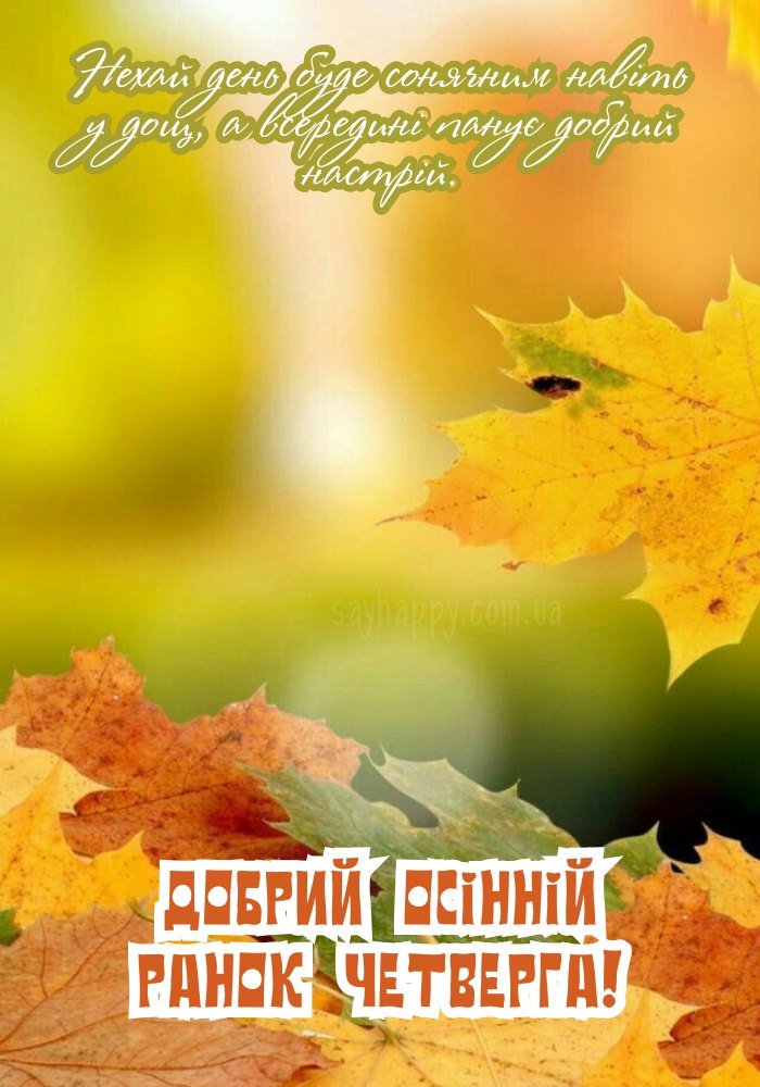 Яскраві барви листя в осінній ранок четверга