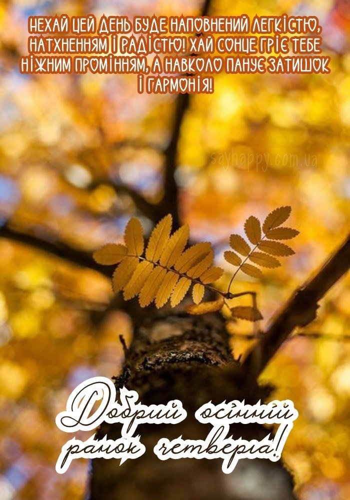 Лучі сонця в осінній ранок