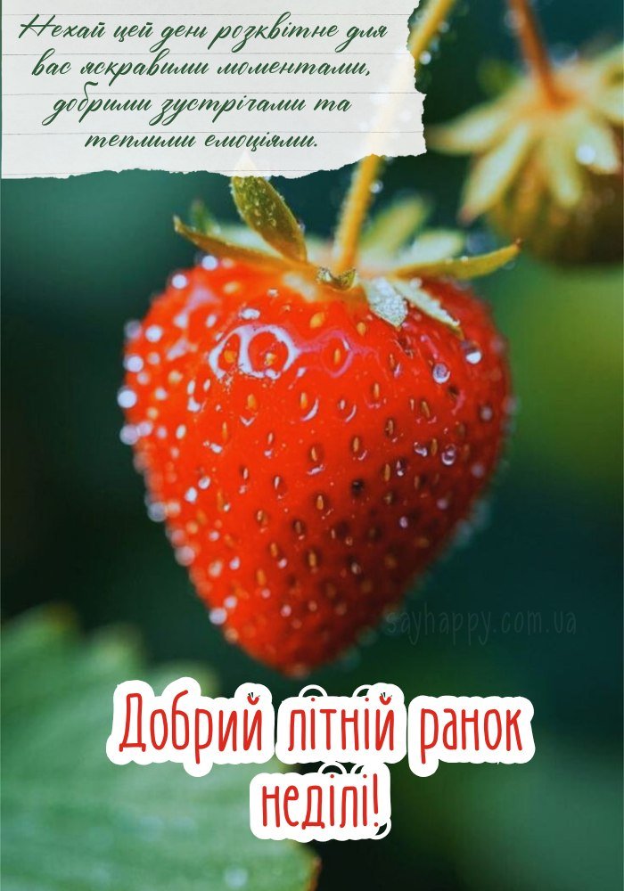 Привітання з добрим літнім ранком у неділю 