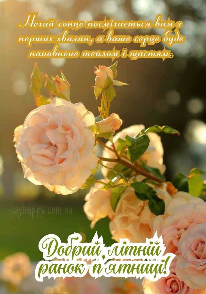 Літнього сонячного ранку п'ятниці!
