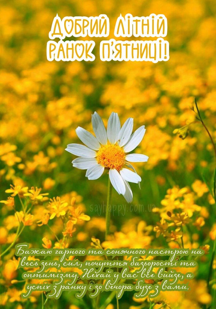 Сонячне побажання на пʼятничний ранок