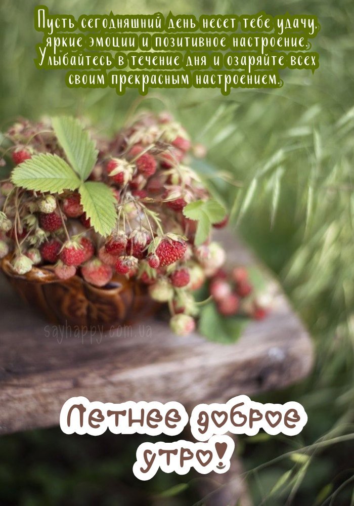 Літнє добре ранок