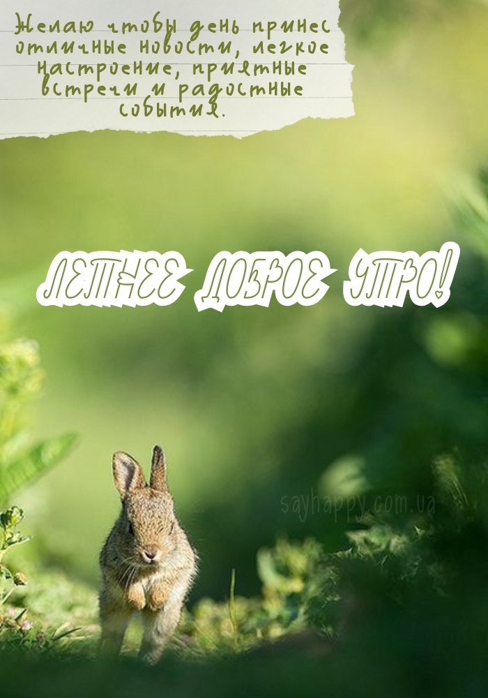 Відмінного настрою та яскравих вражень!