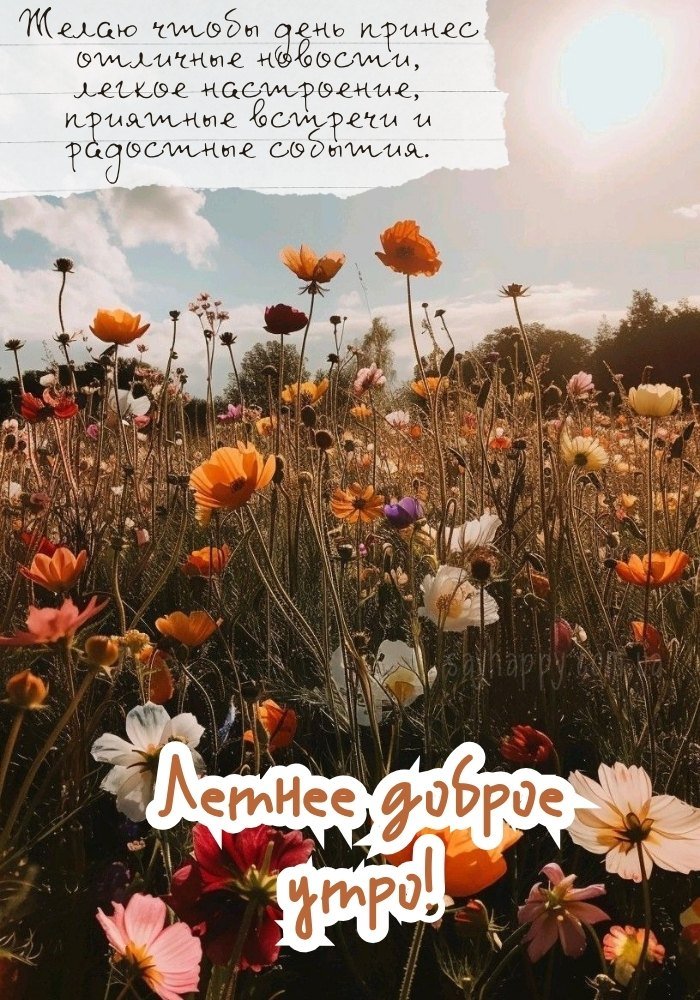 Добрий настрій, вплетений у фарби літнього ранку