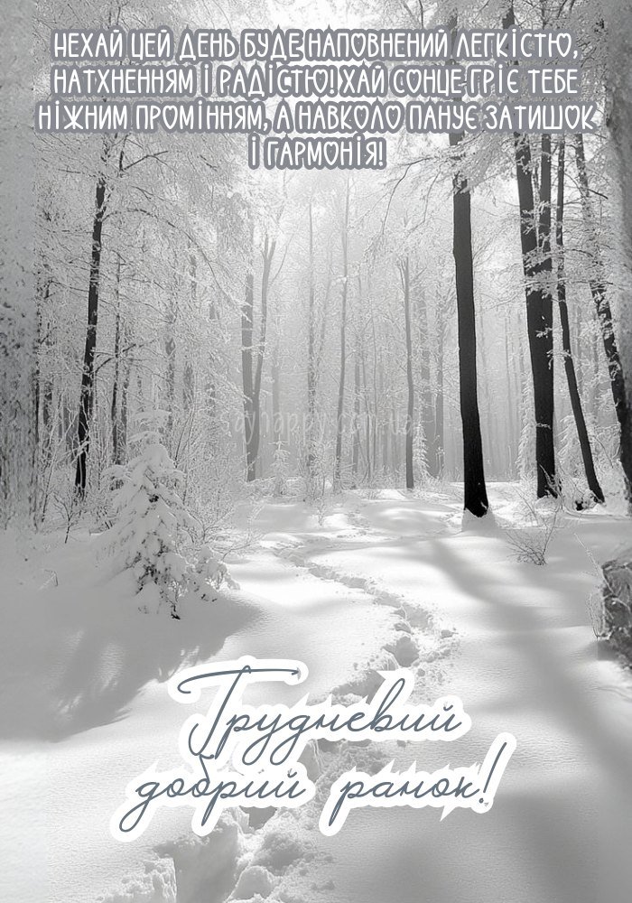 Легкість і гармонія грудневого ранку.