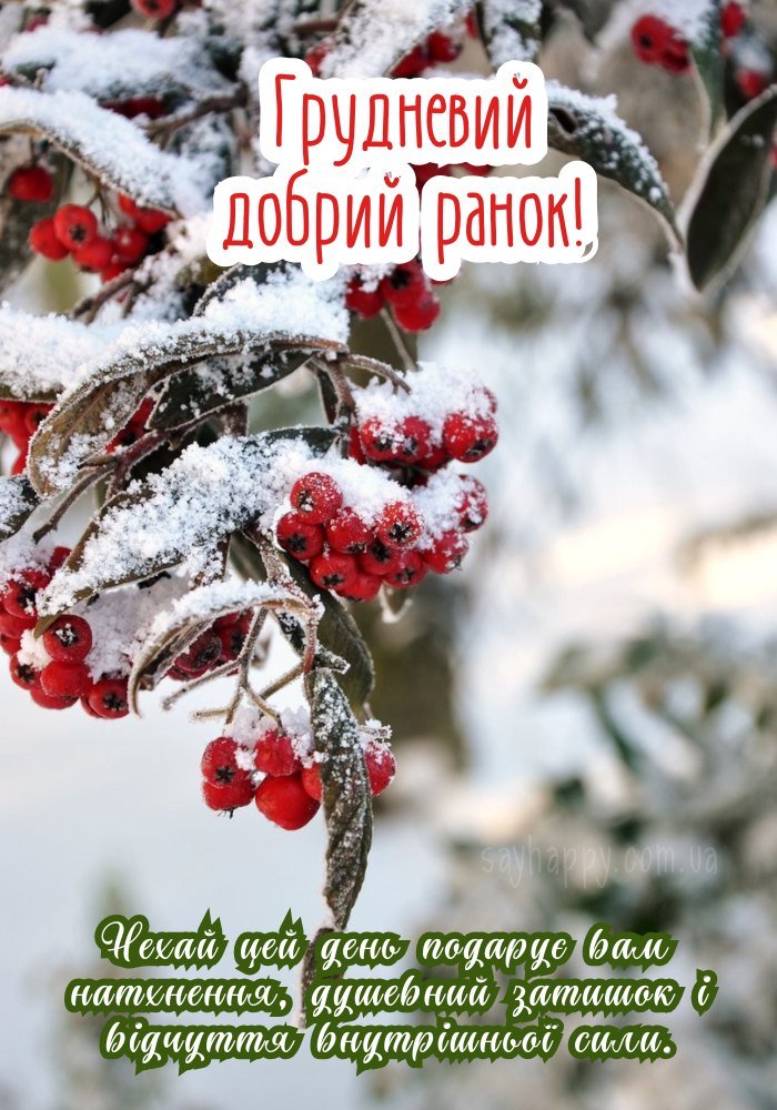 Мир і ніжність на грудневому ранку.