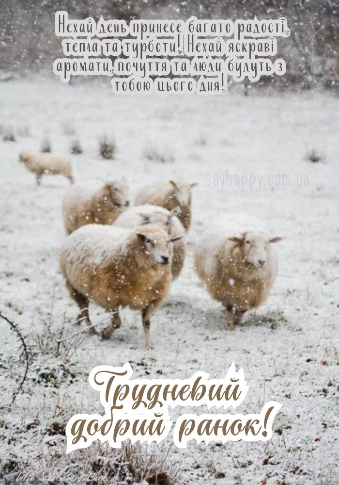 Усмішки і радість грудневого ранку.