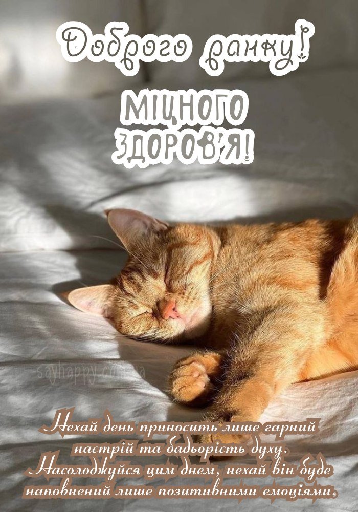 Добрий ранок і міцного здоров’я вам на цілий день