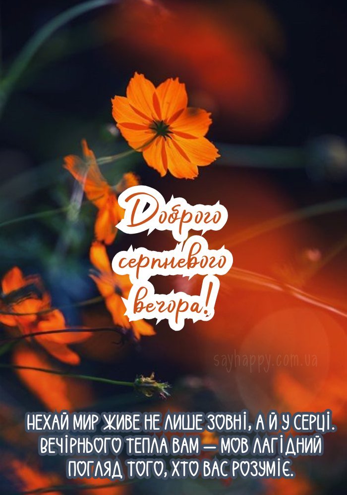 Прекрасний вечір серпня з теплими фарбами 