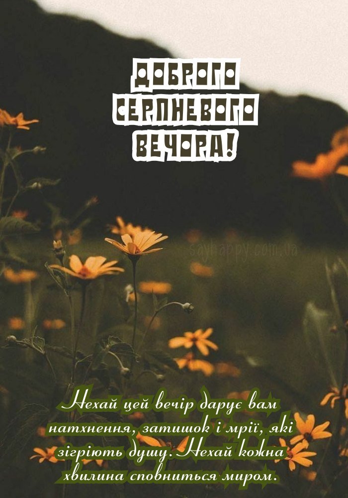 Затишний літній вечір із прохолодним вітерцем 