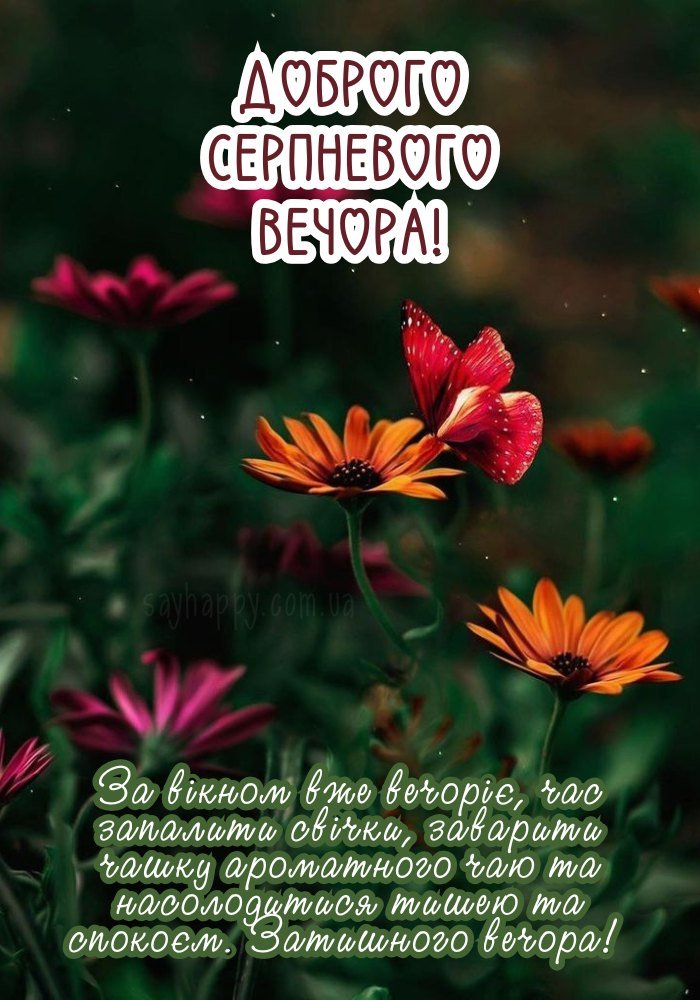 Легкий серпневий вечір у теплій атмосфері 