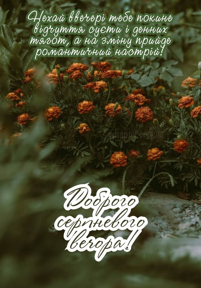 Добрий вечір із затишком і спокоєм серпня 