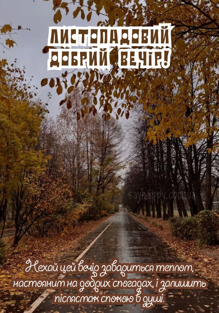 м'яка тиша вечора
